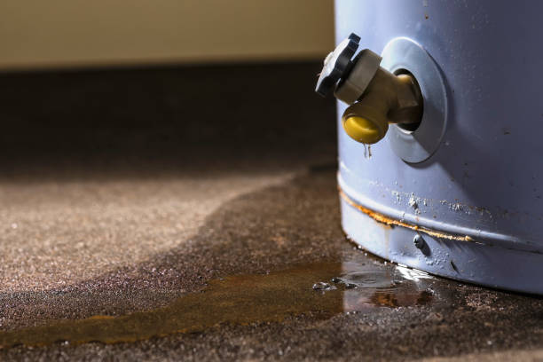 Best Ceiling water damage repair  in La Grange, IL