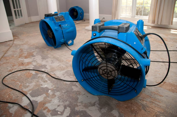 Best Carpet water damage restoration  in La Grange, IL