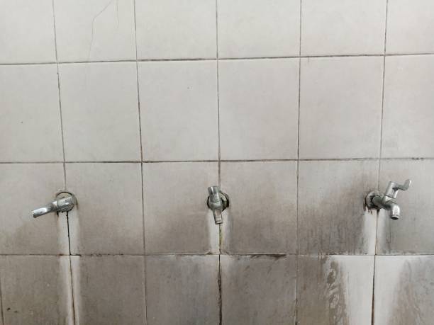 Best Flood restoration services  in La Grange, IL