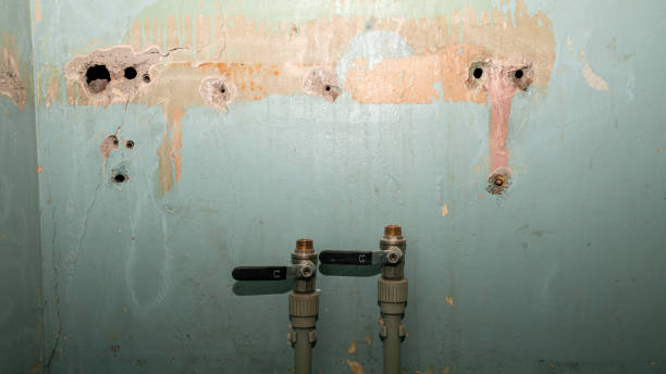 Best Water damage restoration process  in La Grange, IL
