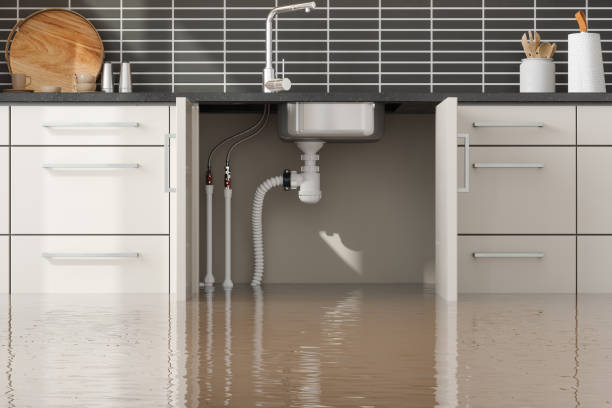 Best Flooded house restoration  in La Grange, IL